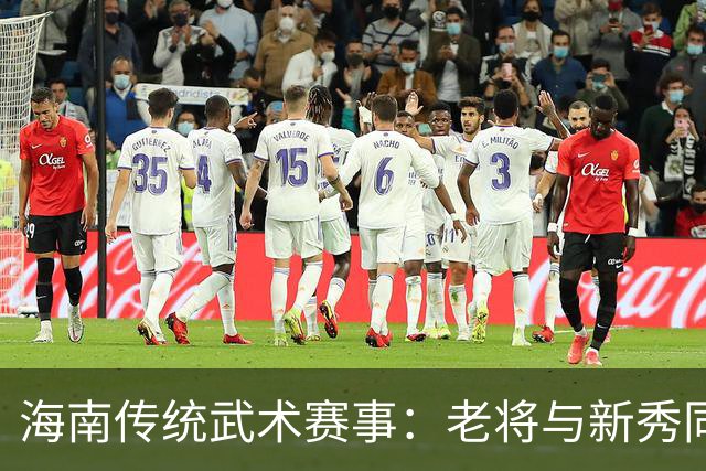 海南传统武术赛事：老将与新秀同台展技，薪火相传弘扬文化