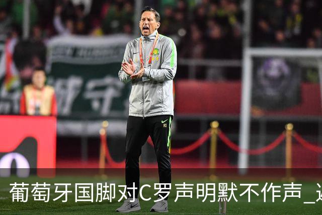 葡萄牙国脚对C罗声明默不作声 避免卷入纷争